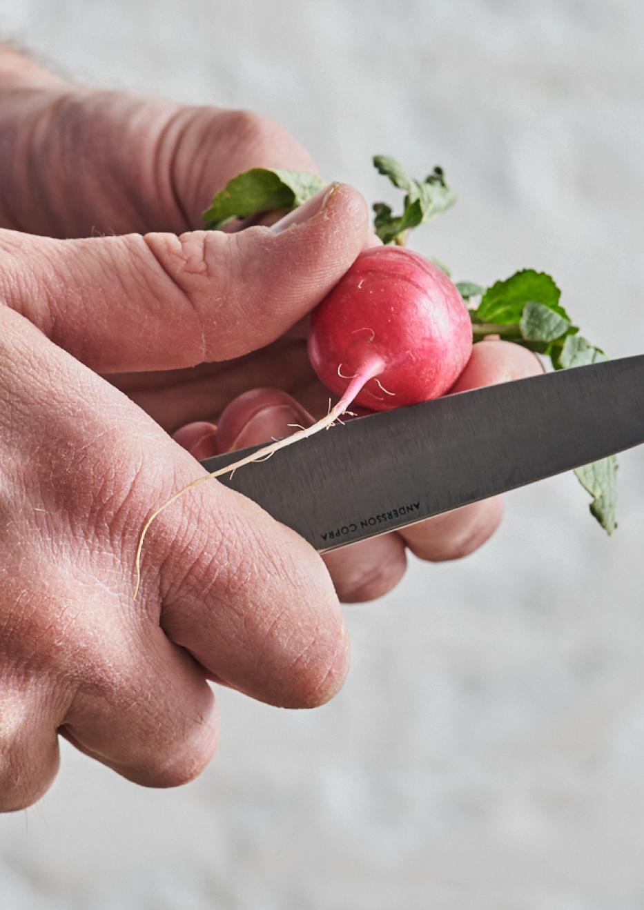 Living Steel 626, Our Story image of Andersson Copra paring knife with radish